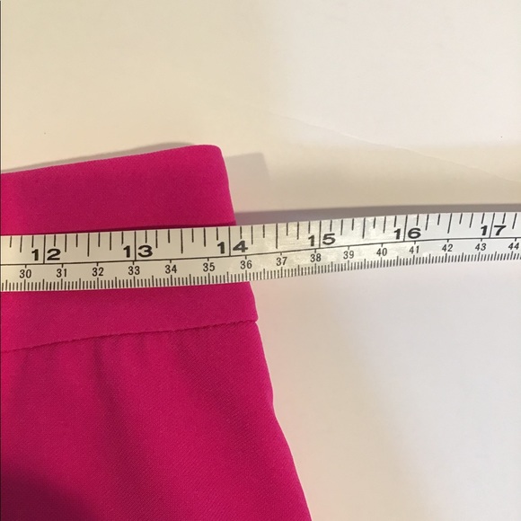 Express Pink lined Skirt - Picture 6 of 7